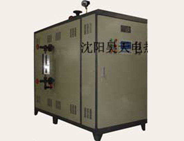 電蒸汽爐